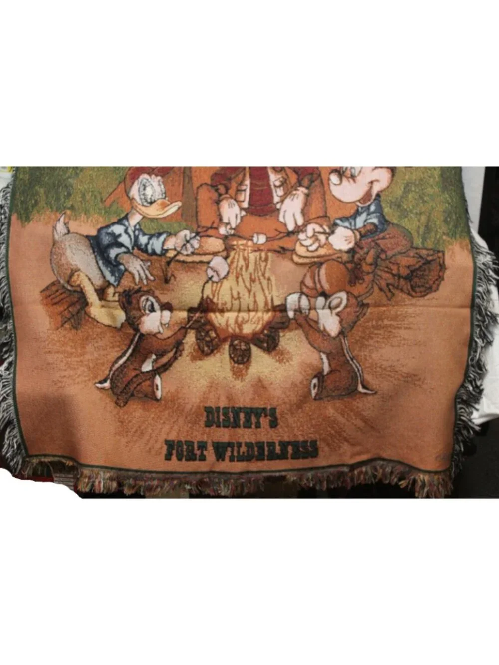 Disney tapestry blanket